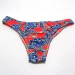 Vedetina clásica - Nissi