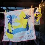 Pañuelo chico - Lanin